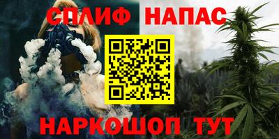 крисы Боровичи