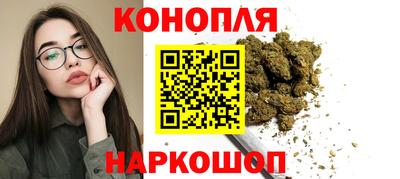 крисы Боровичи