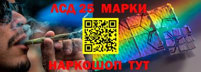 крисы Боровичи