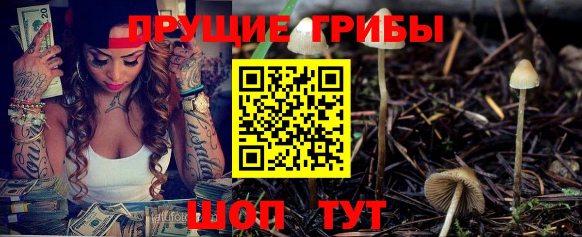 Псилоцибиновые грибы Psilocybine cubensis Советский